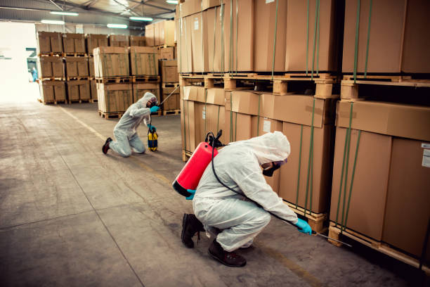 Reliable Brighton, MI Pest Control Solutions