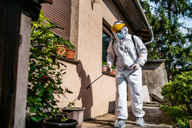 Best Pest Inspection Near Me  in Brighton, MI