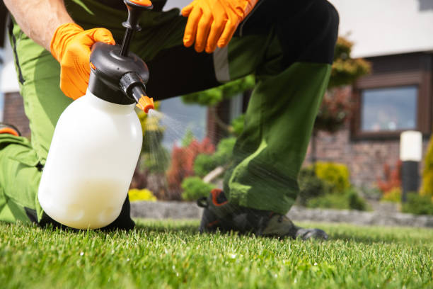  Brighton, MI Pest Control Pros