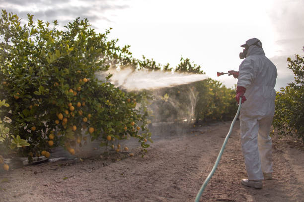 Best Residential Pest Control  in Brighton, MI