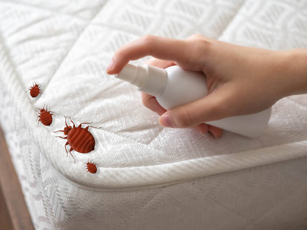 Brighton, MI Pest Control Company